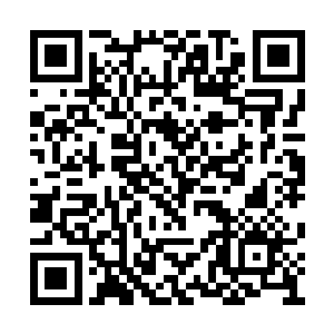 省公安厅的专家不能确定章永泰车祸是人为所致二维码生成