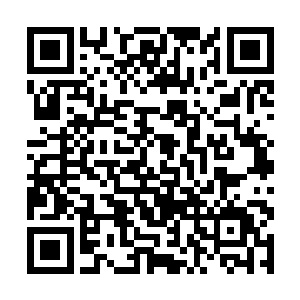 省土地局用地审批和耕地保护处的同志根本就不接招二维码生成