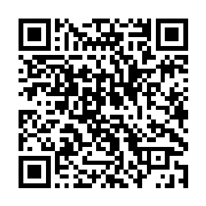 省委书记萧远山和常务副省长秦明月都不会饶了自己二维码生成
