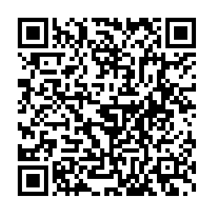 省委书记陈浩然和省长江川河谈了一下午如何发展山南省的经济问题二维码生成