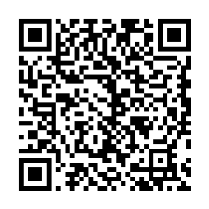 省委陆书记的车队在开发区管委会的院门外缓缓停了下来二维码生成