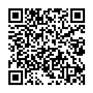 省政fu主要领导同志看了组织部提供的候选人简历后二维码生成