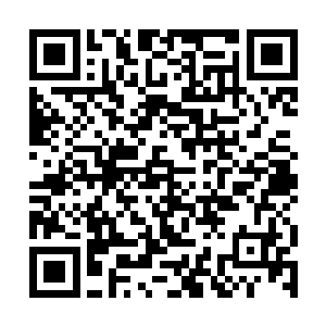 省歌舞团的演出零级大神19181是晚上七点半准时开始二维码生成