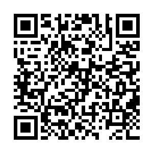省电视台的主持人澹台明月同志刚才在古都火车站失窃了二维码生成