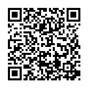 眉宇间很快就因为所探查到的一切变得凝重起来二维码生成