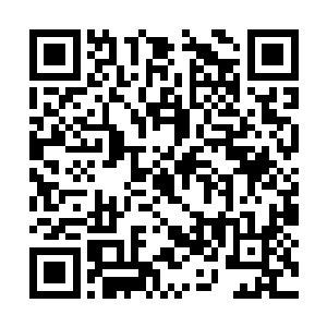 看……我是觉得各位婶子大娘们到这里来挺辛苦的二维码生成