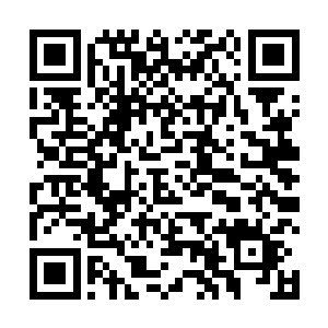 看一看杨一凡到底有没有背着自己跟哪个小狐狸精鬼混二维码生成