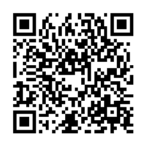 看上去一点儿都不惧怕对面那个血量还很满的仙灵女巫二维码生成