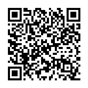 看上去好似食之无味弃之可惜的鸡肋一样习之无用二维码生成