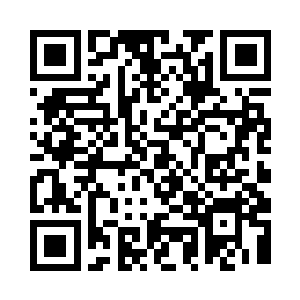看上去就像个住在阿拉丁神灯里的精灵二维码生成