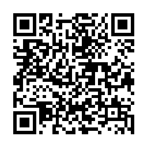 看上去就像是放风筝――邵玄就是那个被放上天的风筝二维码生成