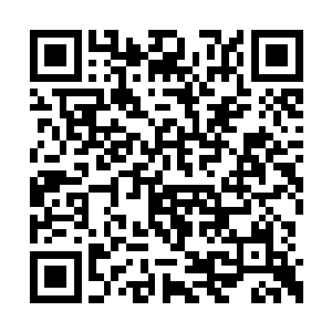 看上去就好像刚从阴川磷火河里升起的冥王巨怪二维码生成