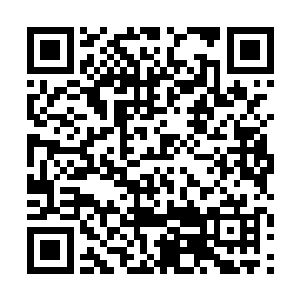 看上去就好像是一个剥了壳的煮鸡蛋一般的光滑温润二维码生成