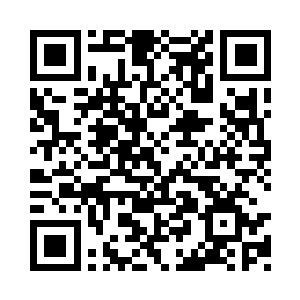 看上去就好像是被什么人沾了诸多的芝麻一样二维码生成