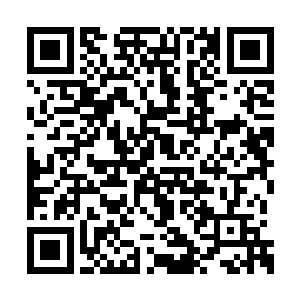 看上去就宛若是一位君王在巡视属于自己的领地二维码生成