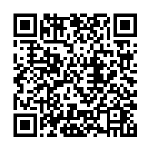 看上去真是赏心悦目当然这份美丽也带着致命的威胁二维码生成