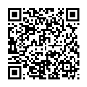 看上好的东西不是可怜巴巴的看着她就是直言索要二维码生成