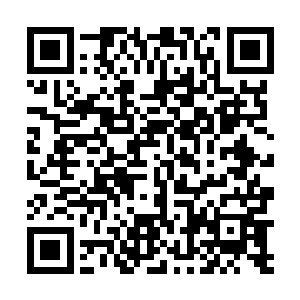 看不出你居然将鬼谷老儿的五行合纵之术练得如此纯熟二维码生成