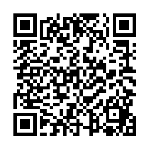 看了一眼老老实实坐在下手位的王阳和林秋燕夫妇两个人二维码生成