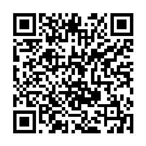 看了一眼身后包厢里这些被自己干趴下的地产老总们二维码生成