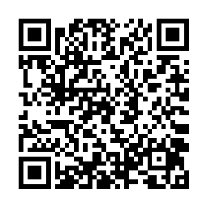 看了一眼这个尚且还处于青春期外冷内热的年轻队友二维码生成