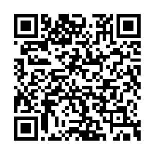 看了一眼远处正在逗着叶小白的慕容家的姐妹花二维码生成