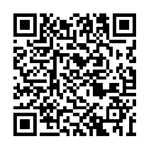 看了一眼那那距离我们还有四五十米的庞然大物二维码生成