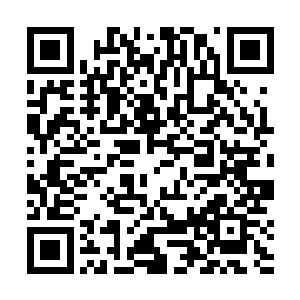 看了一章就知道后面一百章套路的同类型作品里的一部二维码生成