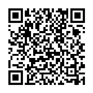 看了看上面的标价……简直跟根骨值悟性值差不多了二维码生成