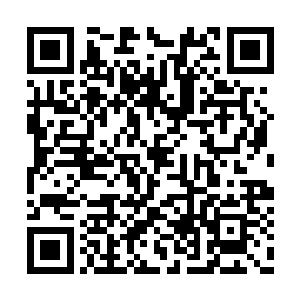看了看周围完全的纯白和站在原地装壁花的众宠二维码生成