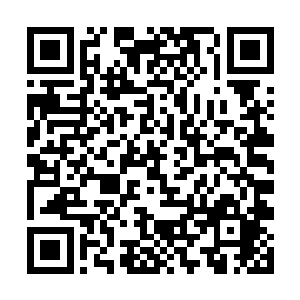 看了看已经被吃得差不多一干二净诸多碟子的弓藏血二维码生成