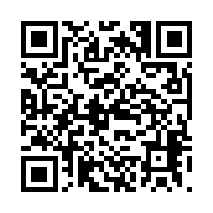 看了看被侍卫阻拦在菱湖外围的人民二维码生成