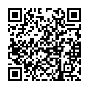 看了眼天空中密密麻麻几乎交织成一片的白色巨网二维码生成