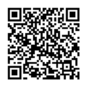 看了那么多各种各样的普通女孩在舞台上绽放魅力的故事二维码生成