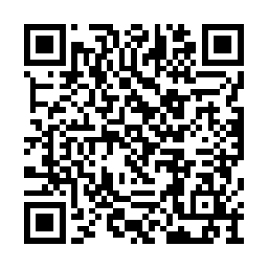 看人时眼里透着乡下孩子特有的自卑和距离感时二维码生成