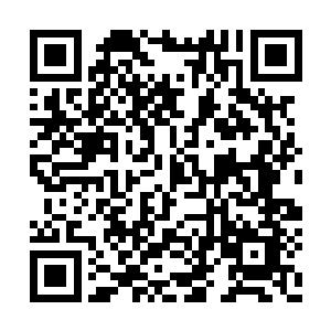 看他一动立即发出一声嘹亮的龙吟跟着飞射而上二维码生成