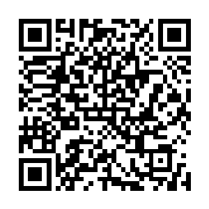看他们不死心一个坏水一个破主意的往外冒也觉得头疼不已二维码生成