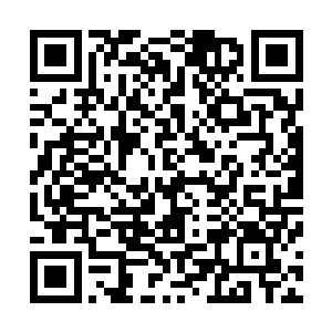 看他们的外貌和战斗服……应该和刚才那个萨波是一伙儿的二维码生成