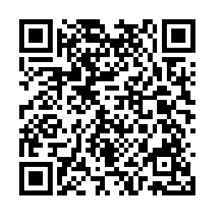 看似生命禁区的盆地里居然诞生过各种各样的生命二维码生成