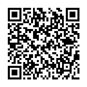 看你跟他们说你是天都国际的湛天丞他们会不会信二维码生成