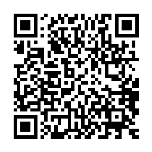 看凌菲明显比离开的时候大了不止一倍的肚子要说的话就变成了二维码生成