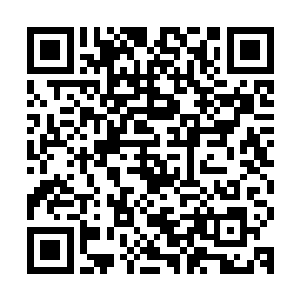 看到一个身穿红色小礼服的高个子女孩子端着个小篮子走了过来二维码生成