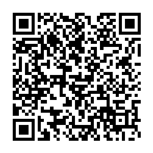 看到一个陌生的男人蹲在墙角正挥舞着剪刀破坏自己最心爱的插花二维码生成