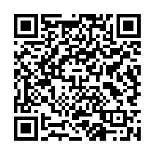 看到一个风姿绝俗的女子侍立在赵佶身后就是一怔二维码生成