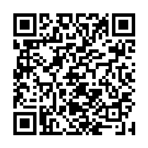 看到一个高大的青年正拿着手机鬼鬼祟祟的躲在树后面二维码生成