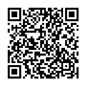 看到一位父亲正在细心地给他怀中的女儿细细的鞭子二维码生成