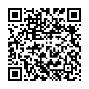 看到之前还一副清风傲骨的楚家家主双膝跪地跪倒在自己面前二维码生成