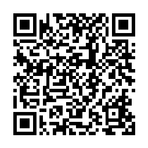 看到乔北剑的分身在南寻风面前连一点反抗的能力都没有二维码生成