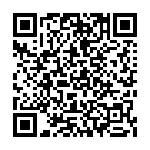 看到了丁羽甚至都不知道应该说一点什么是好了二维码生成