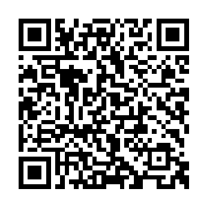 看到了下方已经站在地面上的燕山魂和日族族长二维码生成
